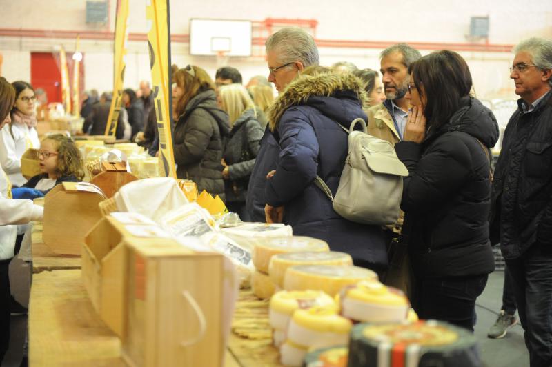 Feria del Queso de Serrada