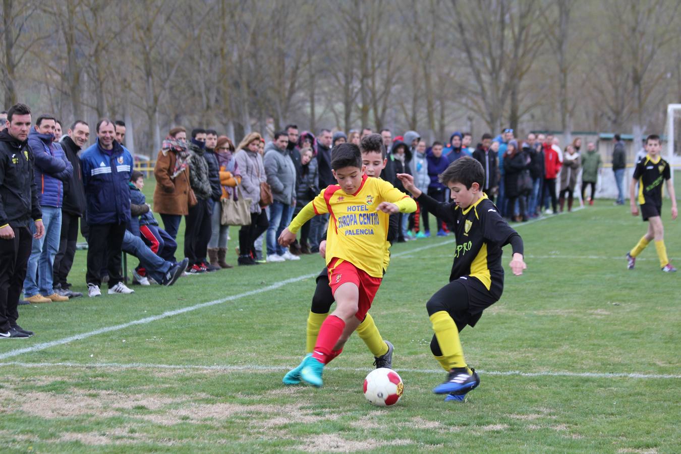 Deporte Base del 25 y 26 de marzo. Palencia (2/4)