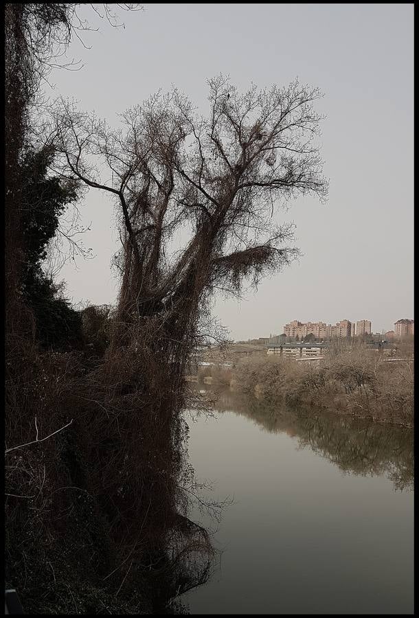 El otro Valladolid (VIII): un paseo por la ribera del Pisuerga