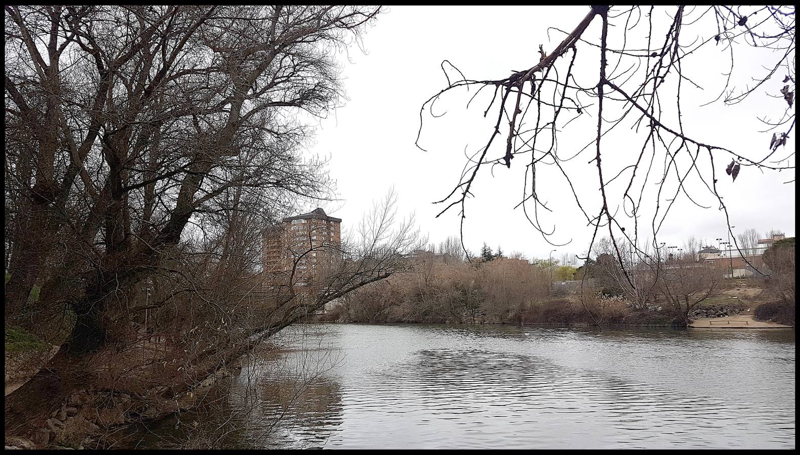 El otro Valladolid (VIII): un paseo por la ribera del Pisuerga