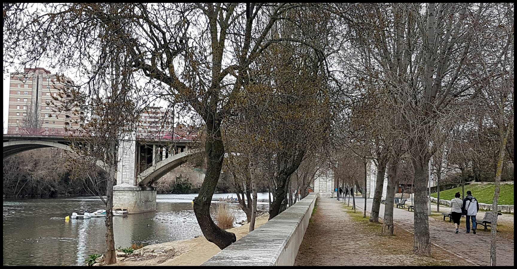 El otro Valladolid (VIII): un paseo por la ribera del Pisuerga