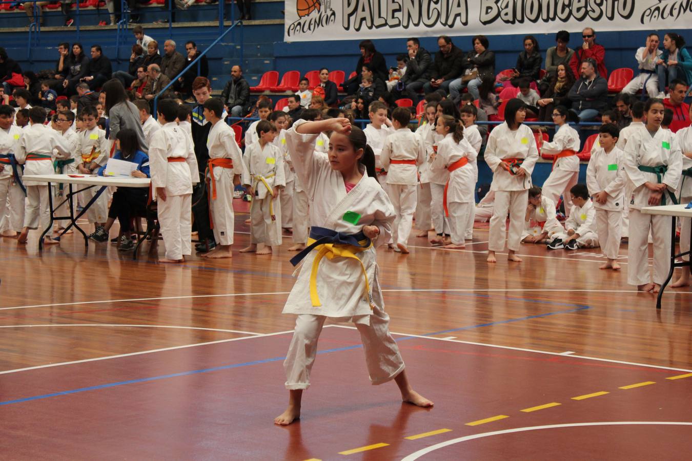Deporte Base del 1 y 2 de abril. Palencia (1/4)