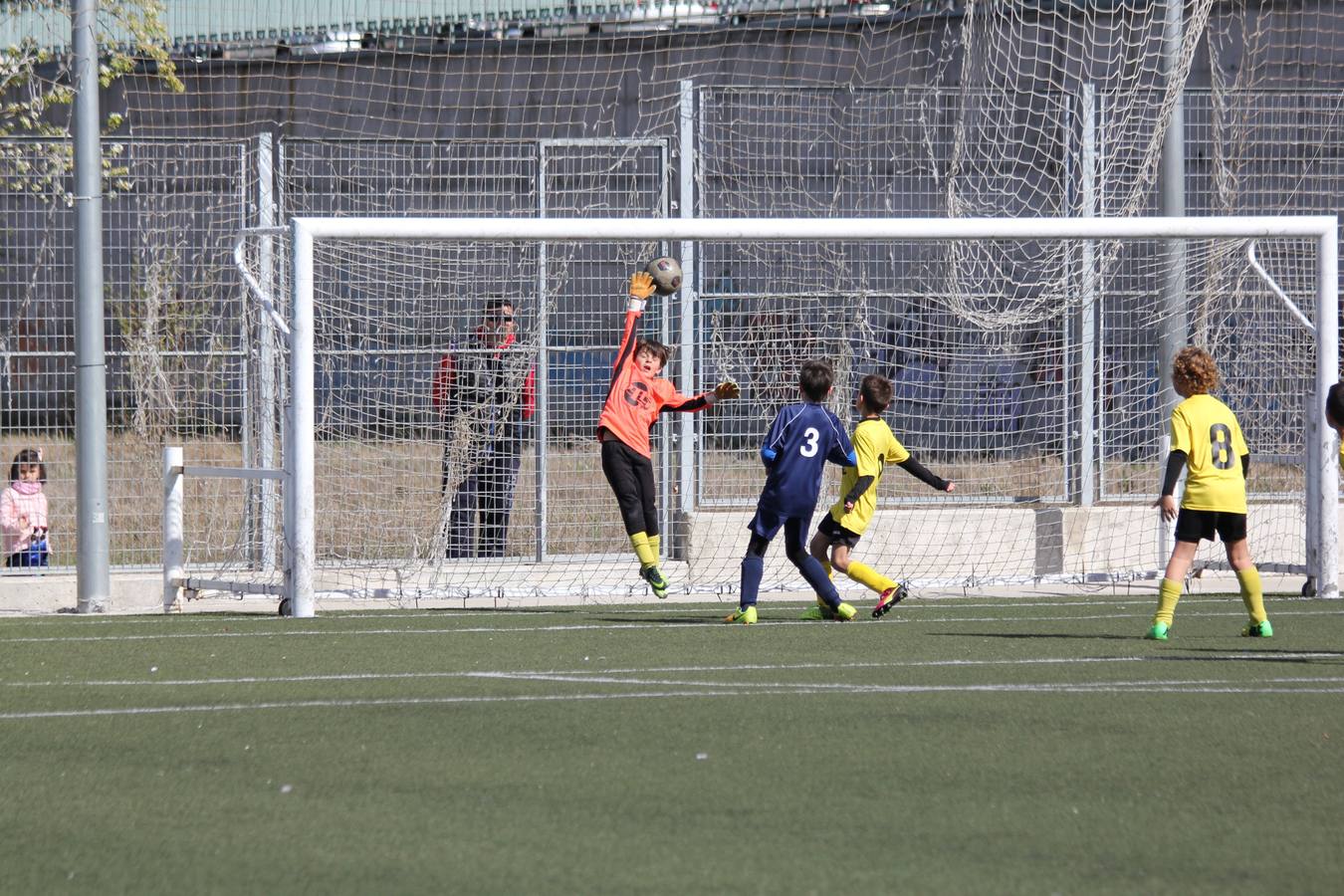 Deporte Base del 1 y 2 de abril. Palencia (2/4)