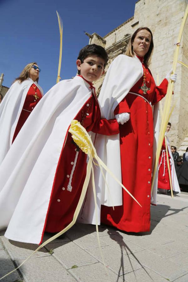 Procesión de La Borriquilla en Palencia (1/2)