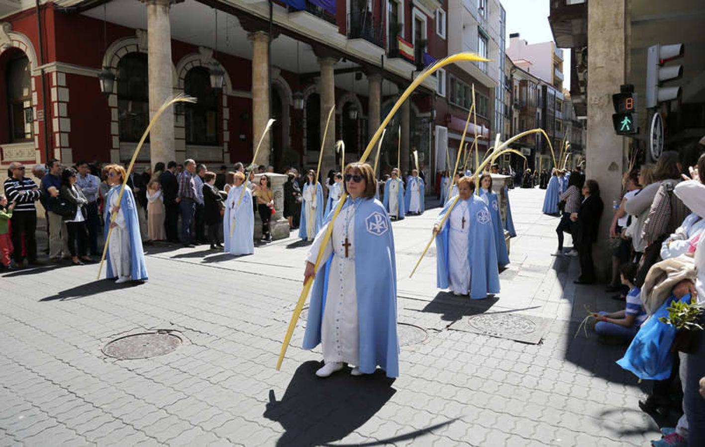 Procesión de La Borriquilla en Palencia (1/2)