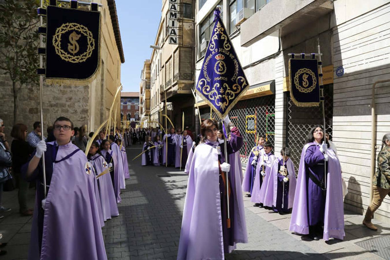Procesión de La Borriquilla en Palencia (1/2)
