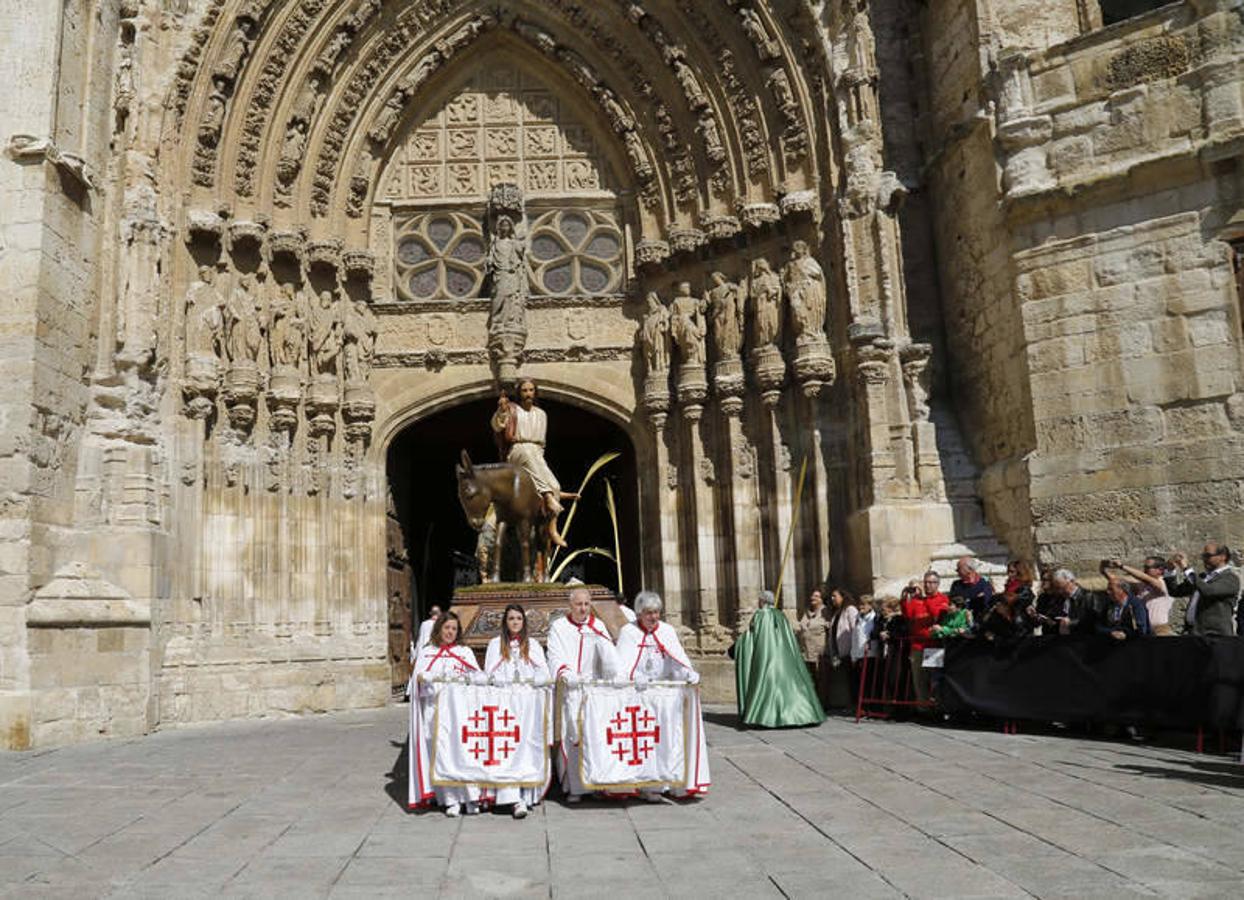 Procesión de La Borriquilla en Palencia (2/2)