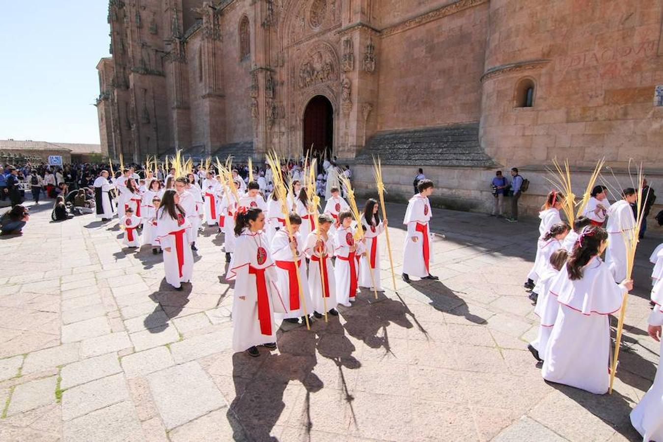 Procesión de la Borriquita en Salamanca