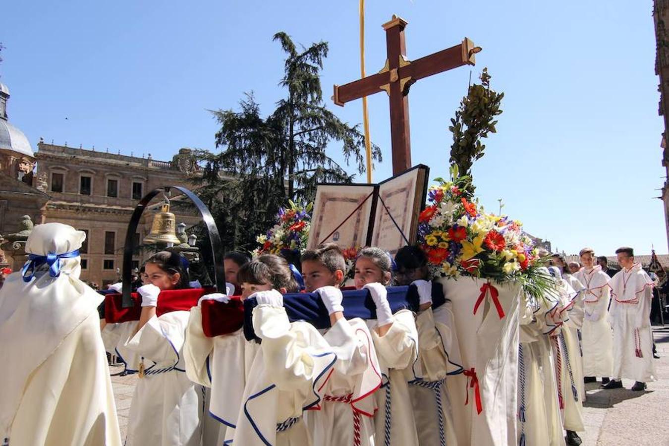 Procesión de la Borriquita en Salamanca