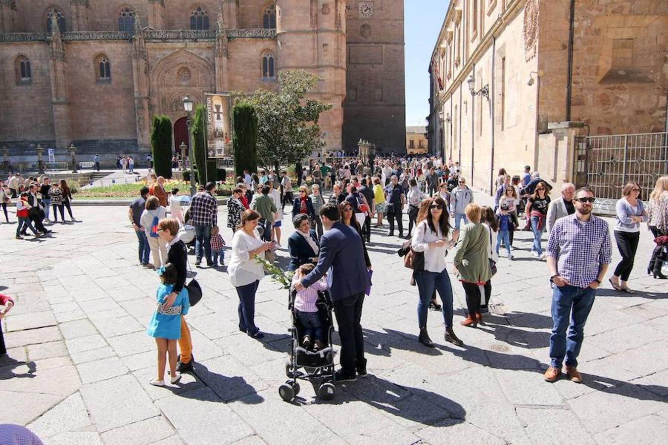 Procesión de la Borriquita en Salamanca