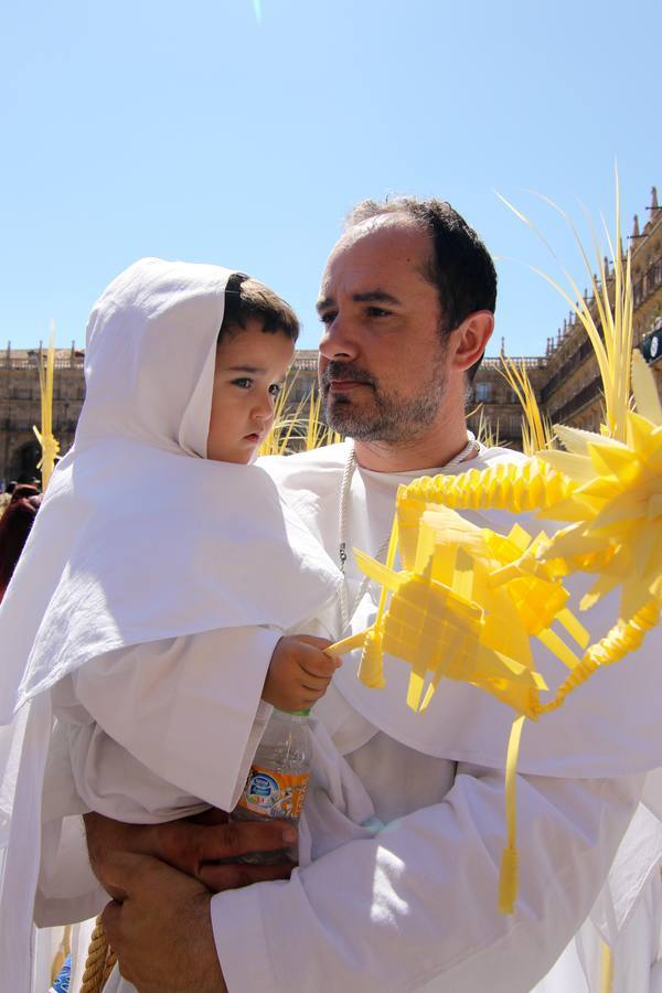 Procesión de la Borriquita en Salamanca