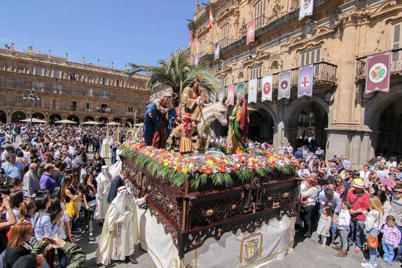 Procesión de la Borriquita en Salamanca