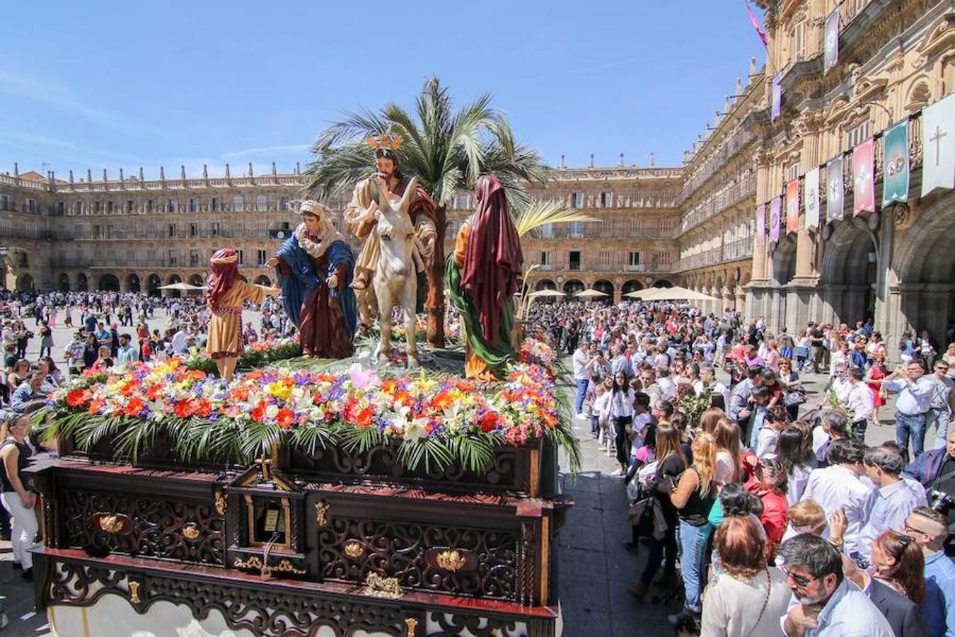 Procesión de la Borriquita en Salamanca