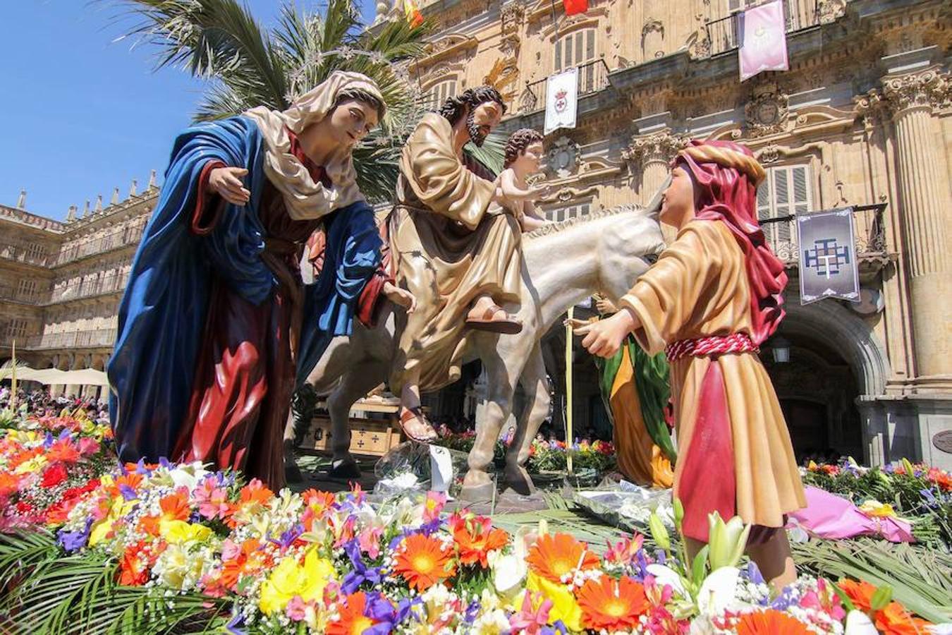 Procesión de la Borriquita en Salamanca