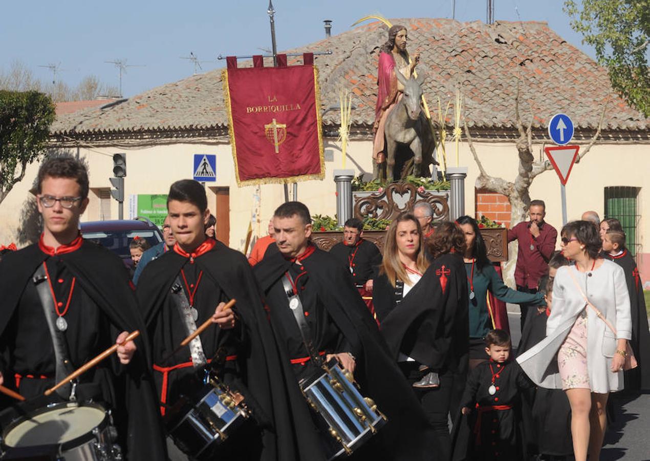 Procesión de La Borriquilla en Medina del Campo