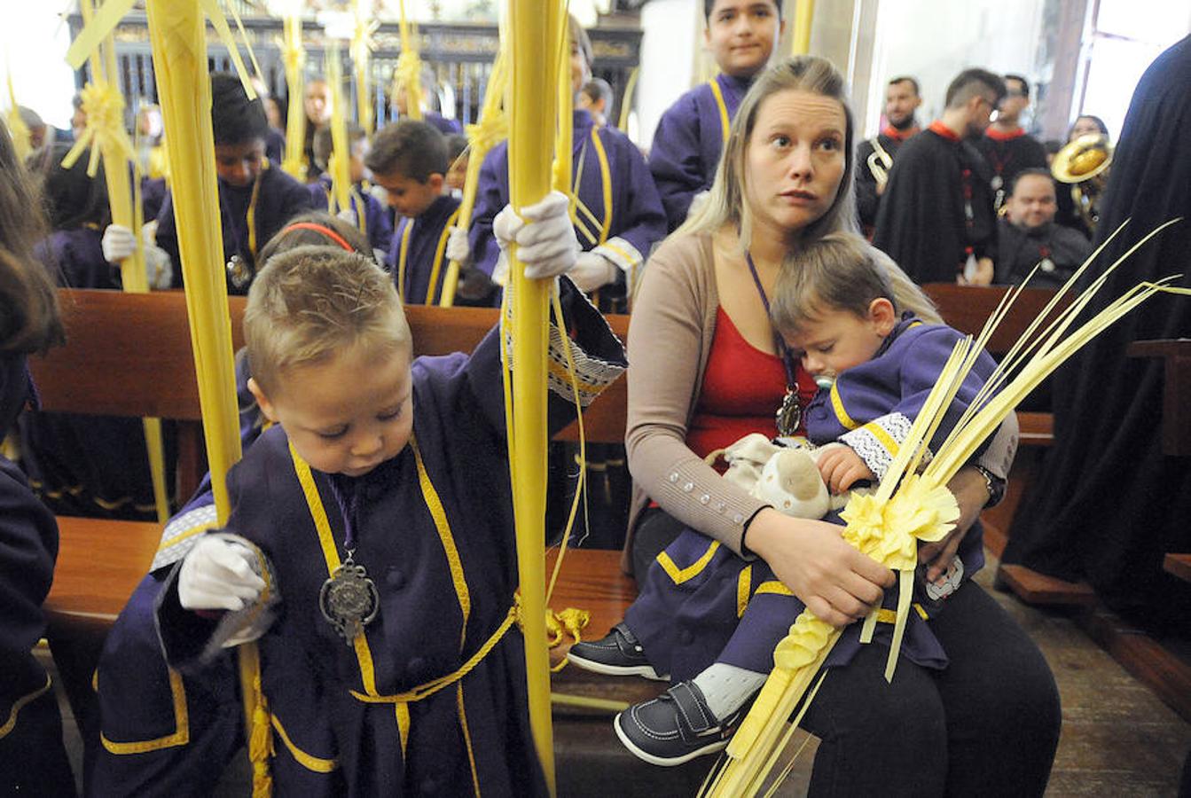 Procesión de La Borriquilla en Medina del Campo