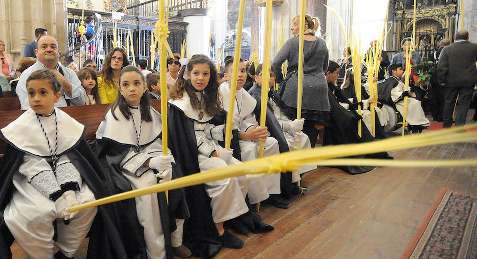 Procesión de La Borriquilla en Medina del Campo