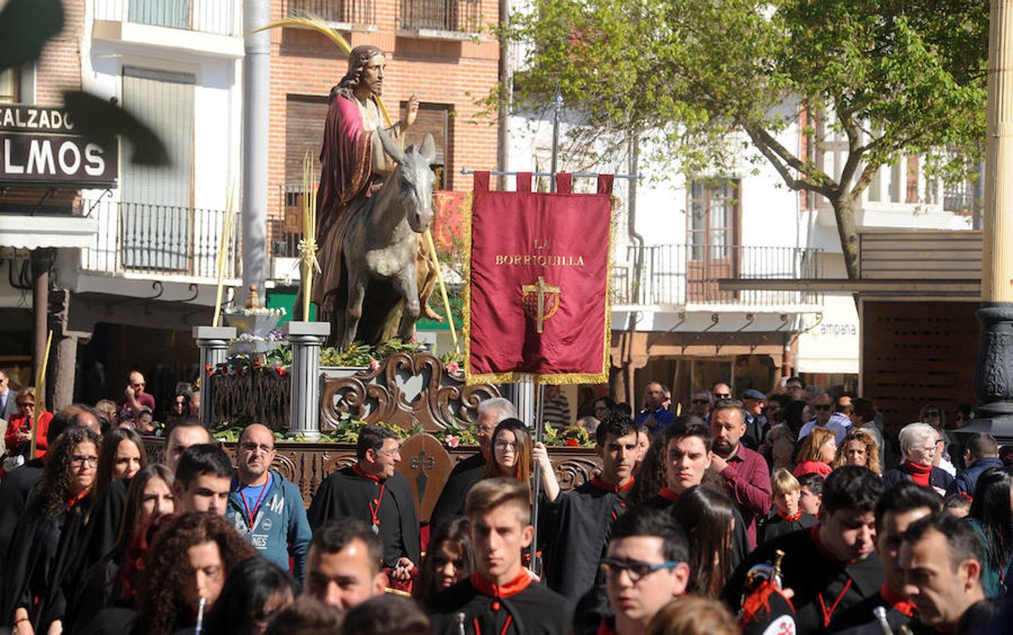Procesión de La Borriquilla en Medina del Campo