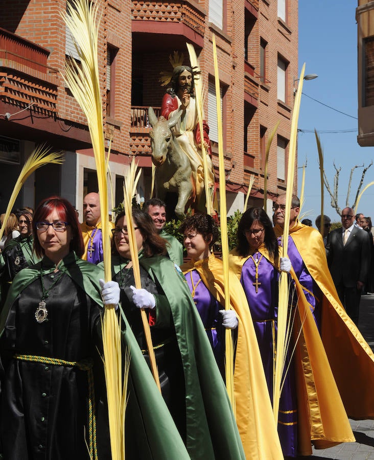 Procesión de la Borriquilla en Olmedo