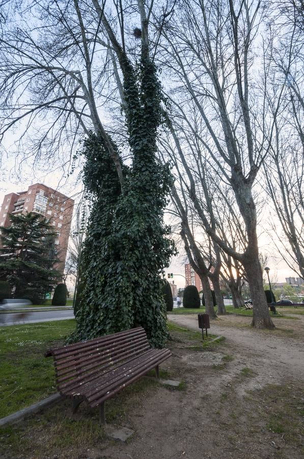 El otro Valladolid (IX): barrio Cuatro de Marzo