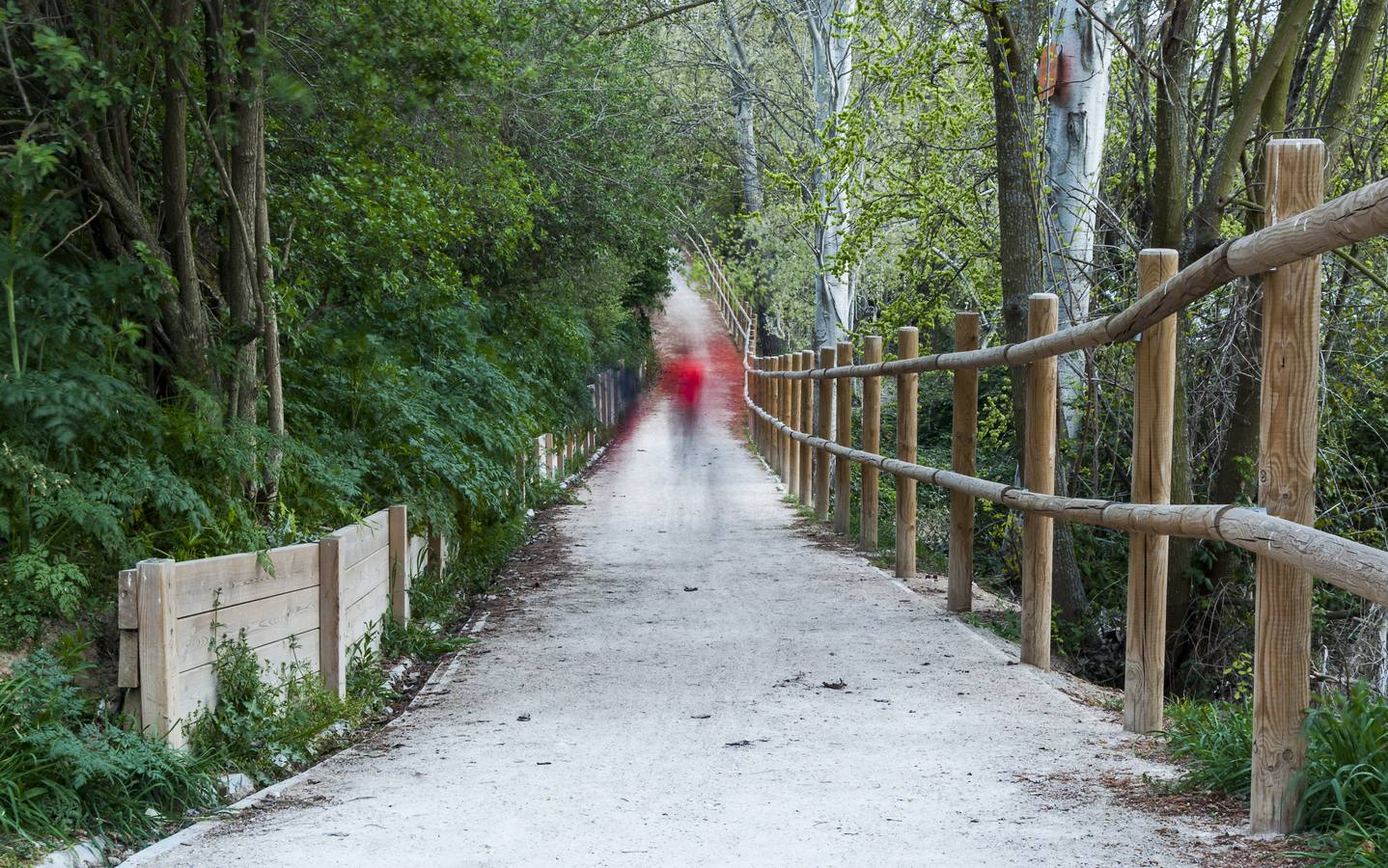 El otro Valladolid (IX): barrio Cuatro de Marzo