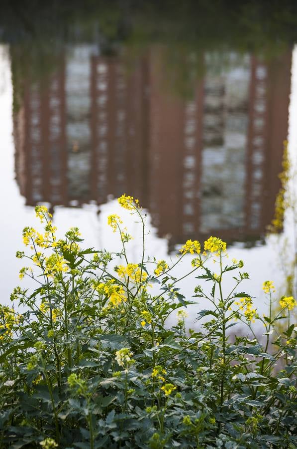 El otro Valladolid (IX): barrio Cuatro de Marzo