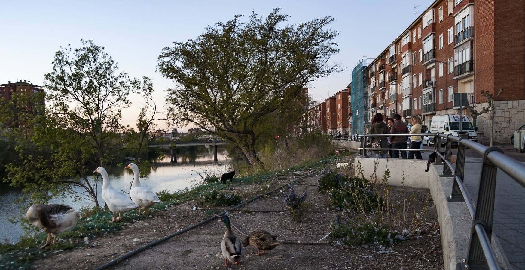 El otro Valladolid (IX): barrio Cuatro de Marzo