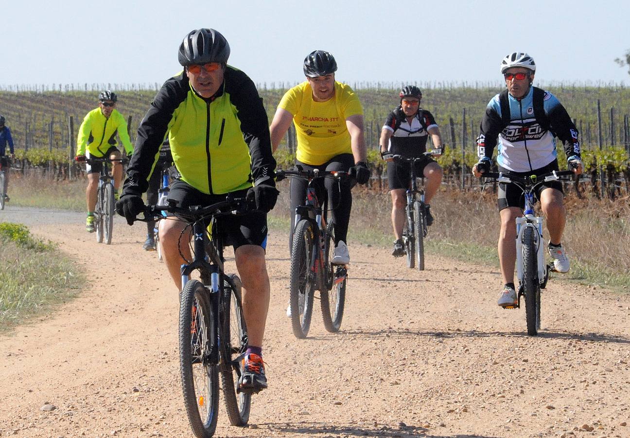 Marcha cicloturista organizada con motivo de la III Feria de Enoturismo de la Ruta del Vino de Rueda