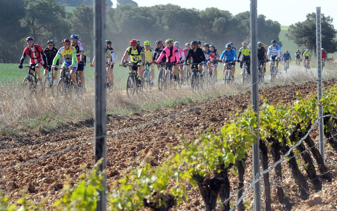 Marcha cicloturista organizada con motivo de la III Feria de Enoturismo de la Ruta del Vino de Rueda