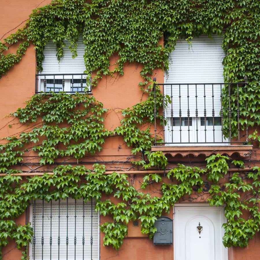 El otro Valladolid (XI): barrio San Pedro Regalado
