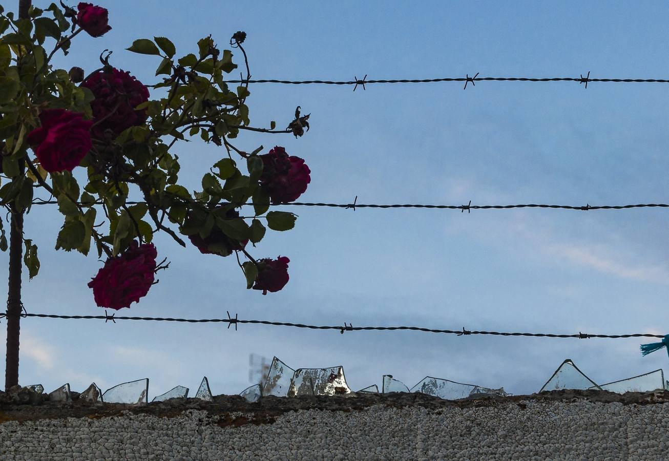 El otro Valladolid (XII): Barrio España