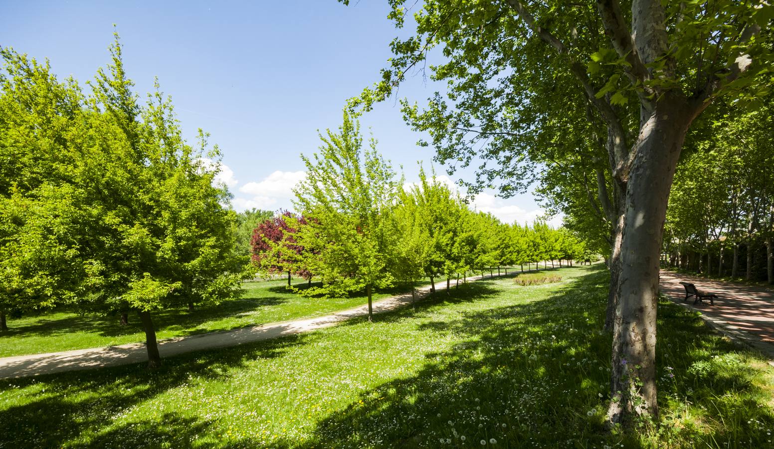 El otro Valladolid (XII): Barrio España