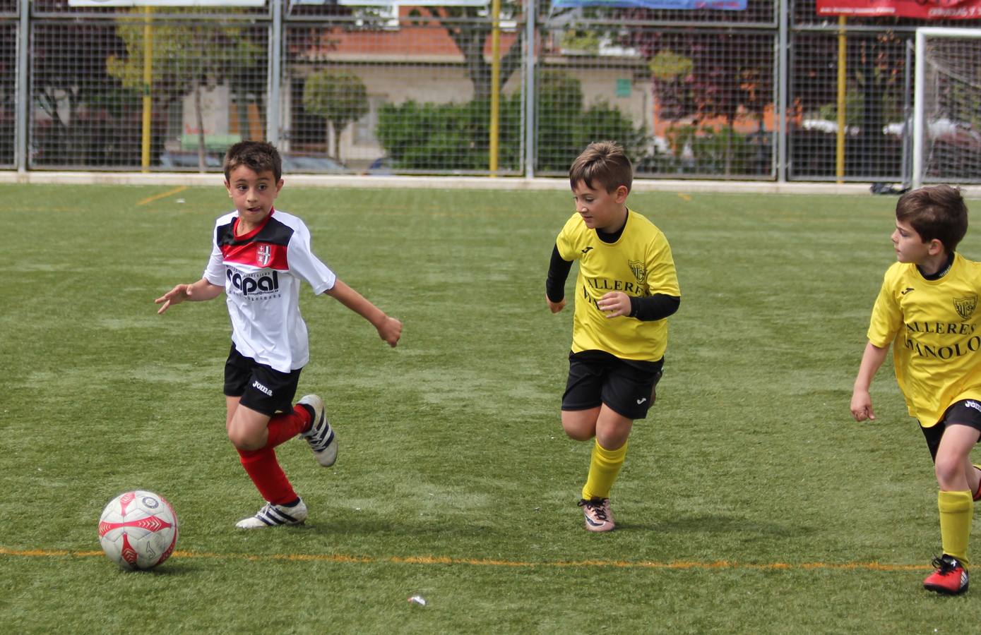 Deporte Base del 29 y 30 de abril. Palencia (2/4)