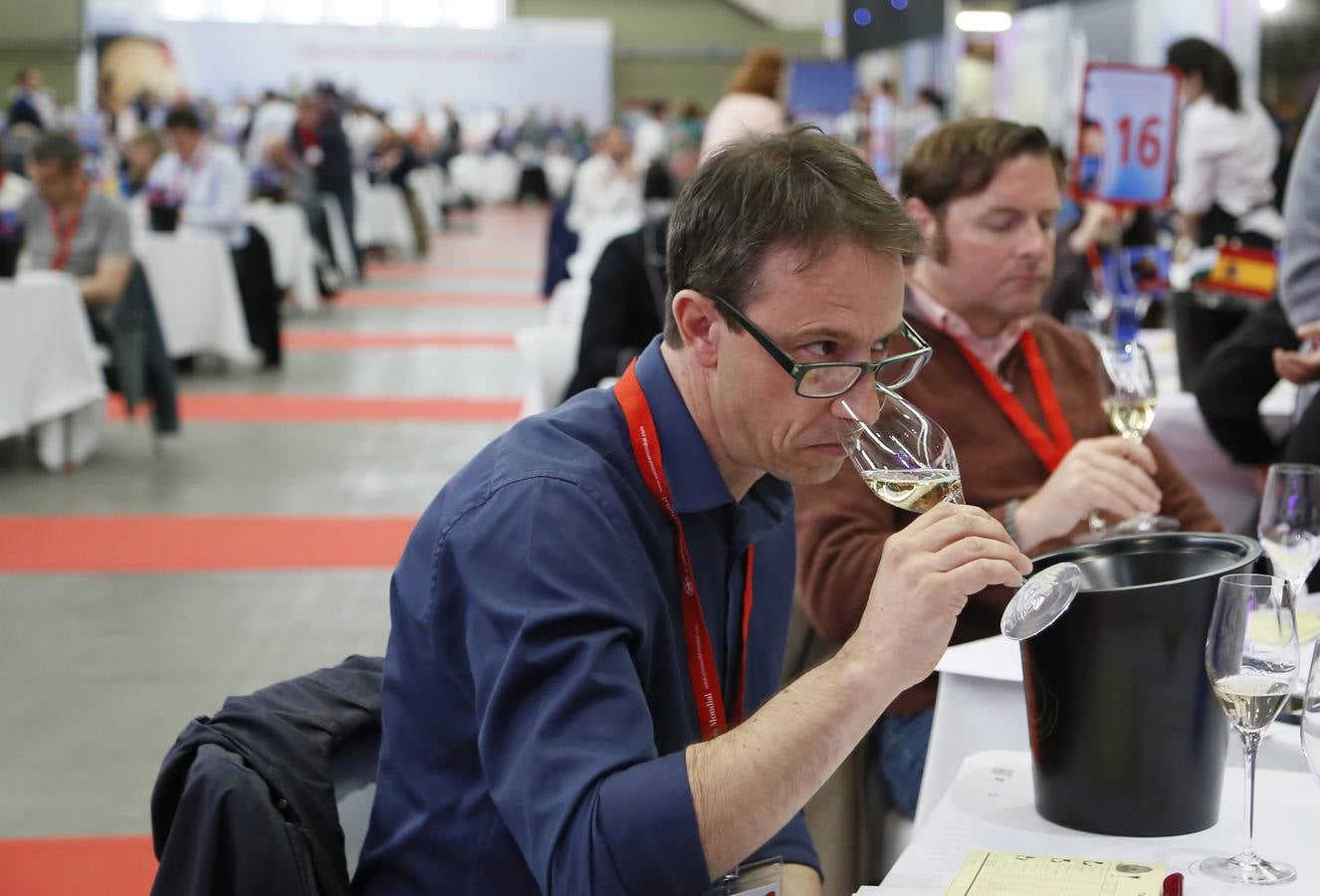 Arrancan en la Feria Internacional de Valladolid las catas a ciegas del Concurso Mundial de Bruselas