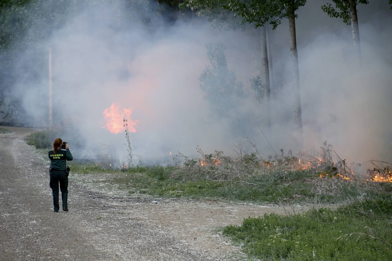 Incendio en la chopera situada junto al puente de Villamuriel de Cerrato (Palencia)