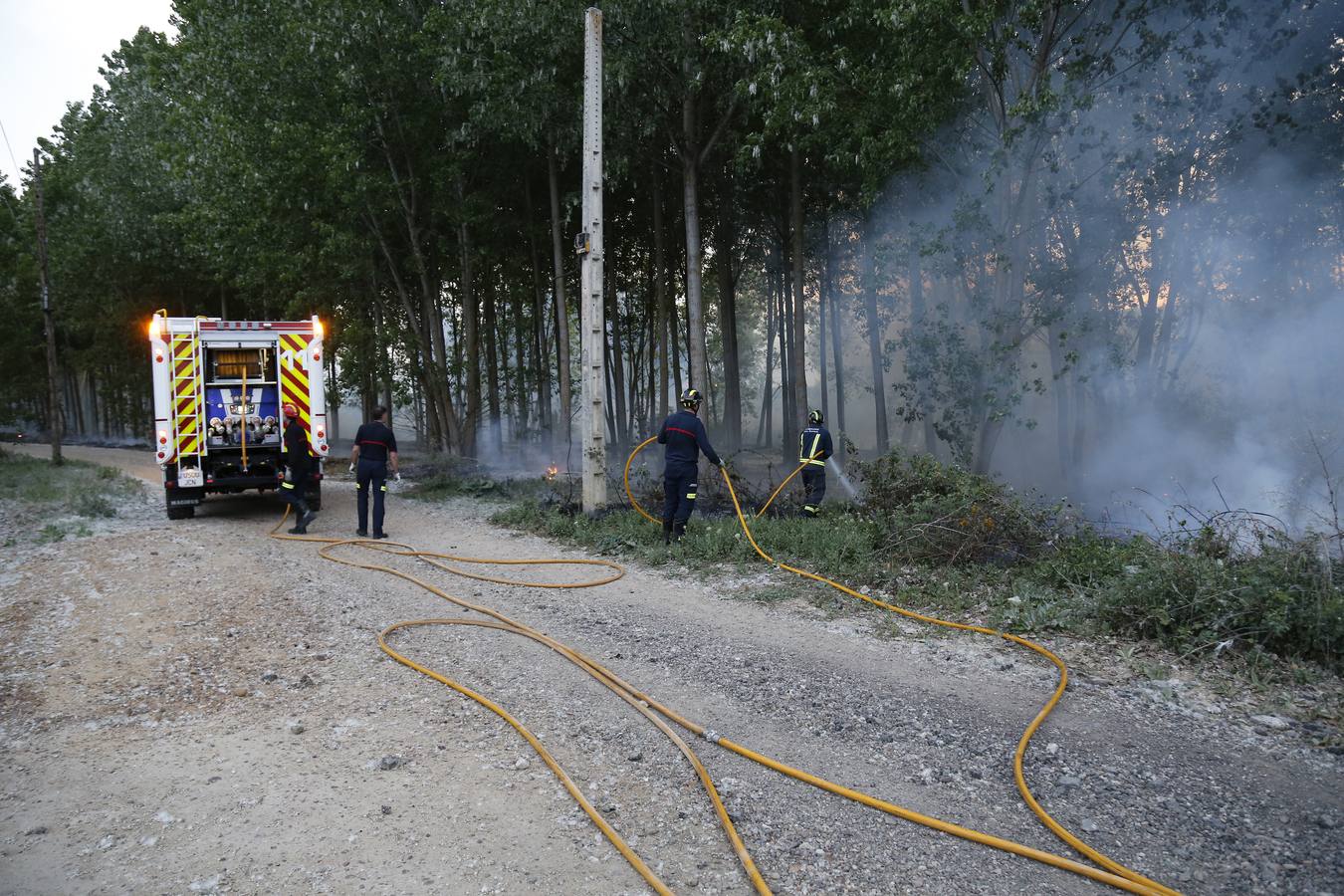Incendio en la chopera situada junto al puente de Villamuriel de Cerrato (Palencia)