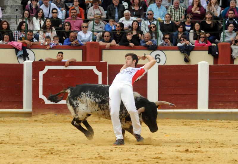 Concurso de Cortes en Valladolid