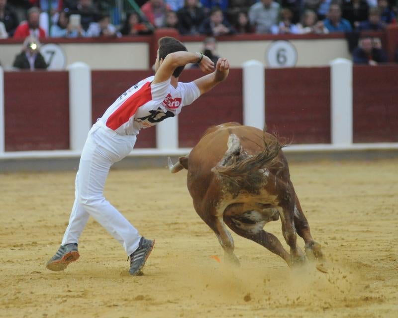 Concurso de Cortes en Valladolid