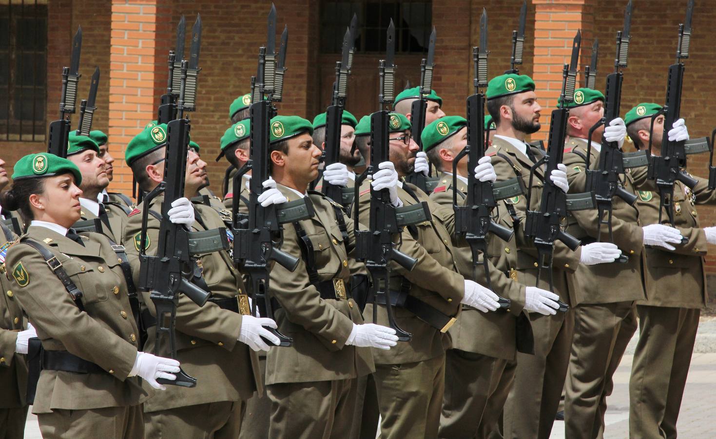 Paredes de Nava rinde honores a las Fuerzas Armadas (1/2)