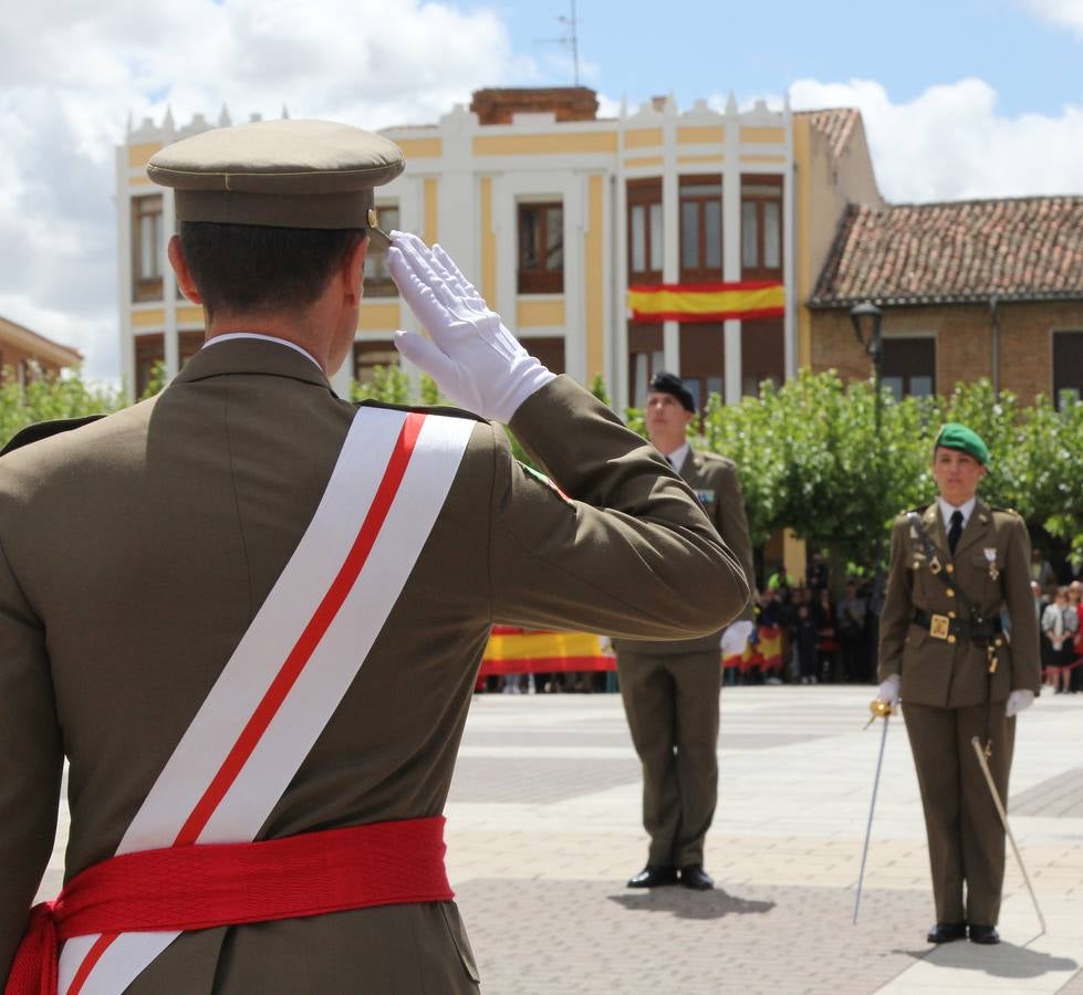 Paredes de Nava rinde honores a las Fuerzas Armadas (1/2)