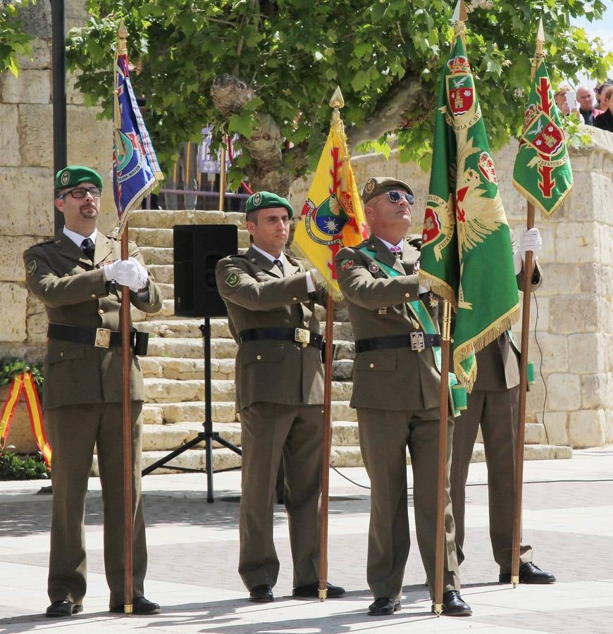 Paredes de Nava rinde honores a las Fuerzas Armadas (1/2)