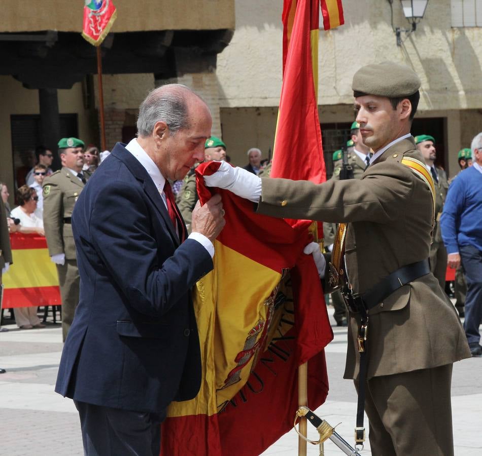 Paredes de Nava rinde honores a las Fuerzas Armadas (1/2)