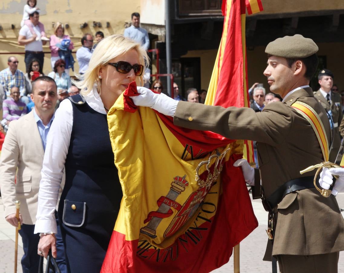 Paredes de Nava rinde honores a las Fuerzas Armadas (1/2)