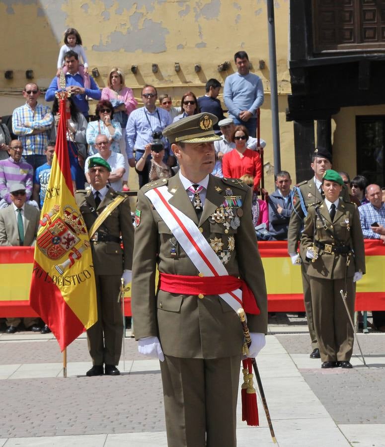 Paredes de Nava rinde honores a las Fuerzas Armadas (1/2)