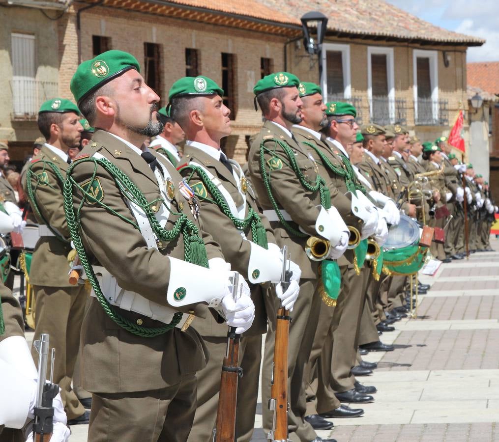 Paredes de Nava rinde honores a las Fuerzas Armadas (1/2)