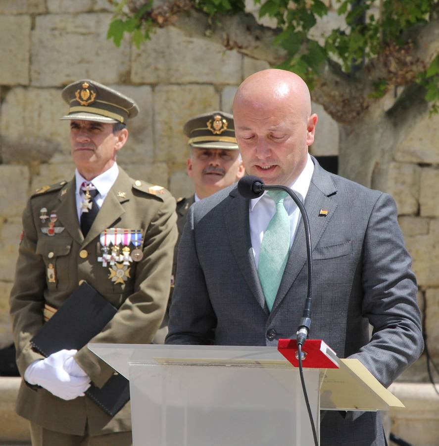 Paredes de Nava rinde honores a las Fuerzas Armadas (2/2)