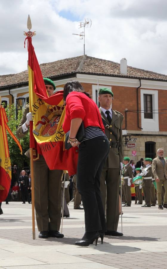 Paredes de Nava rinde honores a las Fuerzas Armadas (2/2)