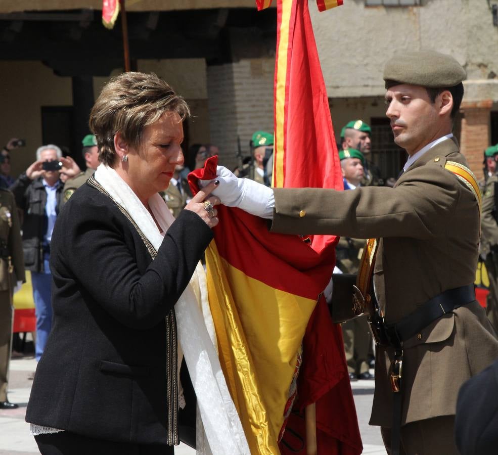 Paredes de Nava rinde honores a las Fuerzas Armadas (2/2)