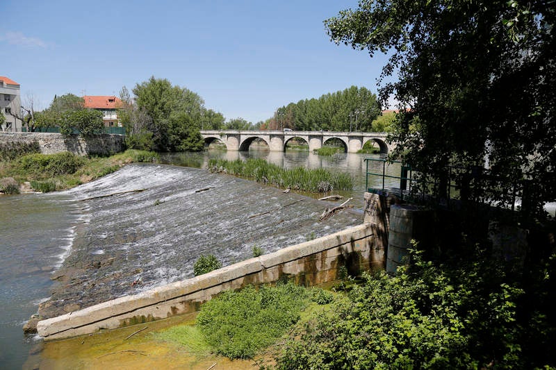 El otro Palencia XI: parque Isla Dos Aguas