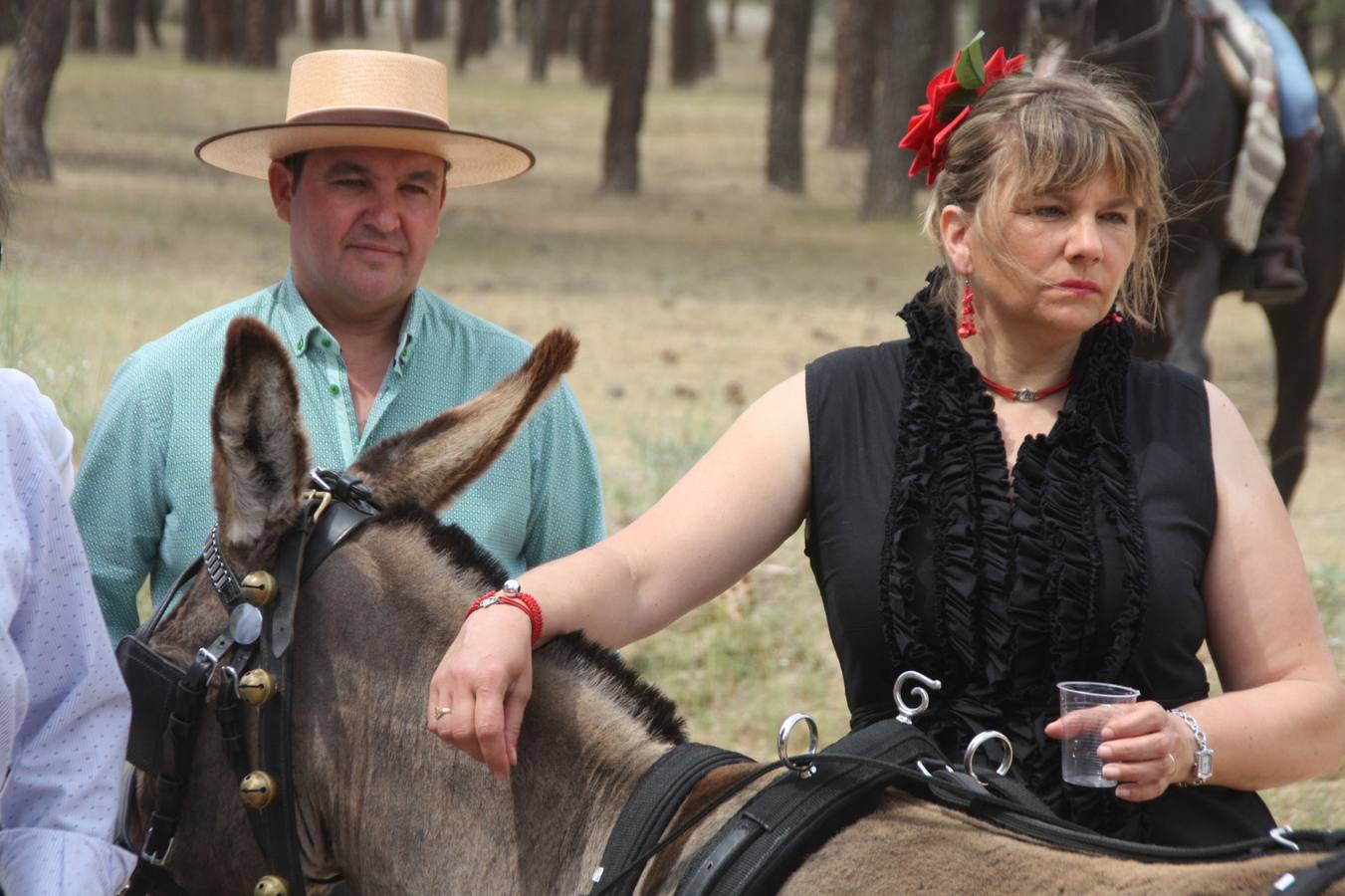 Feria de primavera de Nava de la Asunción (Segovia)